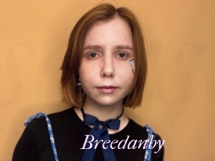 Breedanby