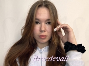 Breedevall