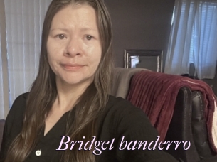 Bridget_banderro