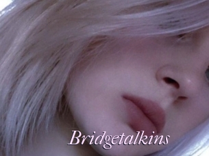 Bridgetalkins