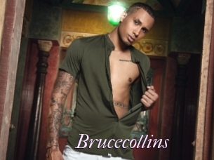 Brucecollins