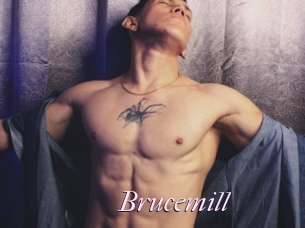 Brucemill