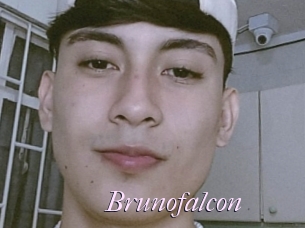 Brunofalcon