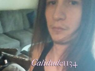 Calidude1134