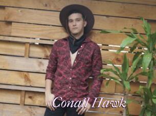 Conall_Hawk