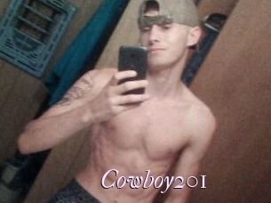 Cowboy201