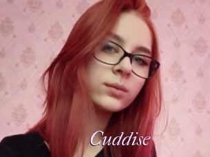 Cuddise