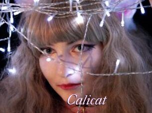 Calicat