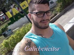 Calicheneitor