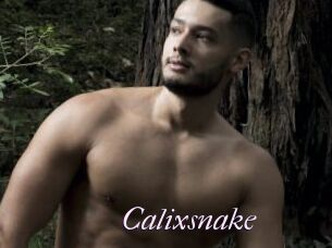 Calixsnake