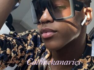 Callmekanaries