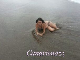 Canariona23