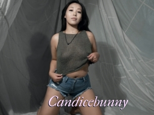 Candicebunny