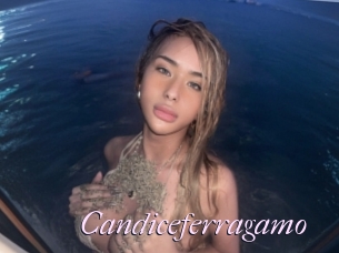 Candiceferragamo