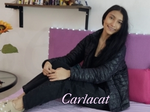 Carlacat