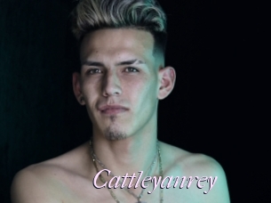 Cattleyanrey