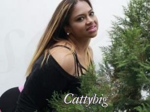 Cattybig