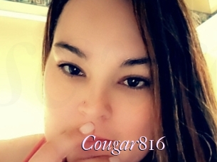 Cougar816