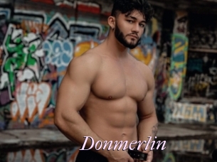 Donmerlin