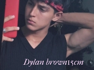 Dylan_brown15cm