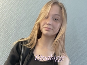 Elvabigge