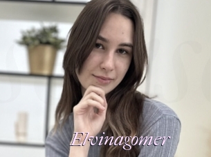 Elvinagomer