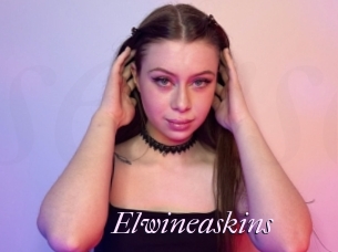 Elwineaskins