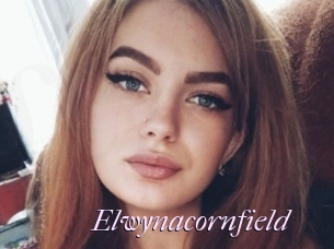 Elwynacornfield