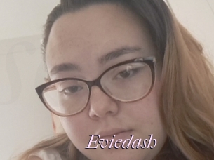 Eviedash