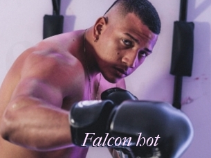 Falcon_hot