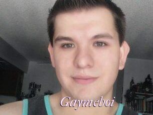 Gaymeboi