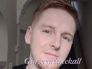 Gingerprincekall