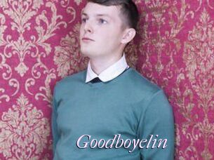 Goodboyelin