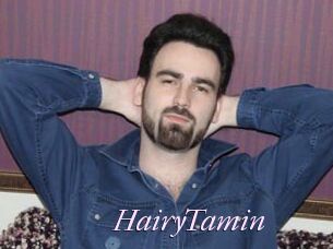 HairyTamin