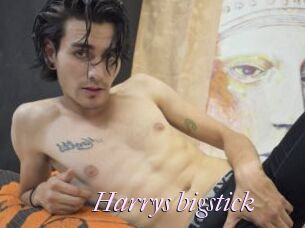 Harrys_bigstick