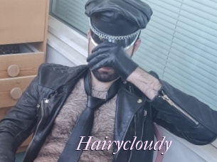 Hairycloudy