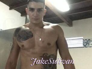 Jake_Sulivan