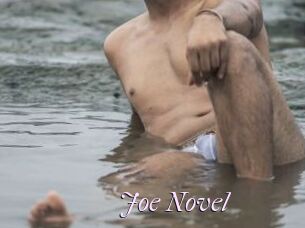 Joe_Novel