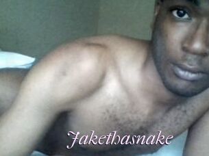 Jake_tha_snake