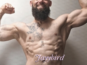 Jayybird