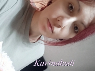 Karinakodi