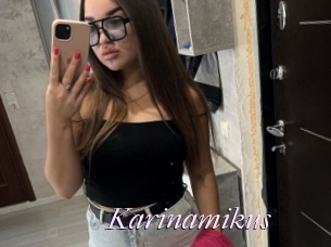 Karinamikus