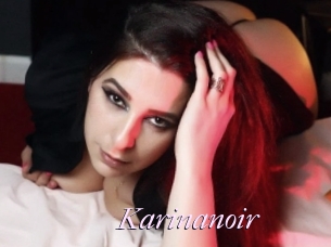 Karinanoir