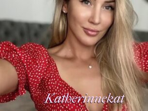 Katherinnekat