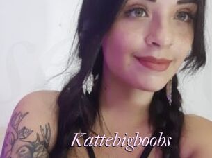 Kattebigboobs