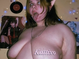 Kattixo