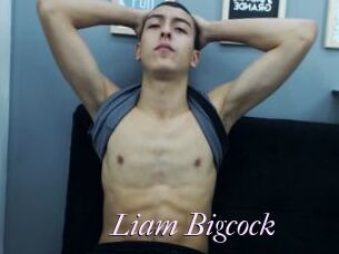 Liam_Bigcock