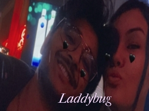 Laddybug