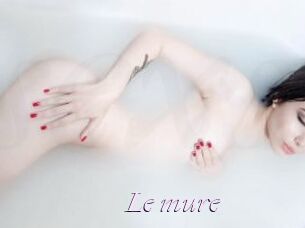 Le_mure