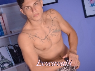 Leocavalli